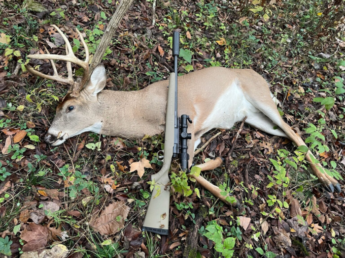 suppressed hunting rifle